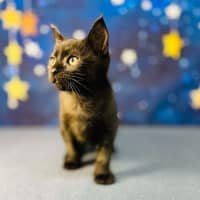 Photo of Barry   Located In Preston 