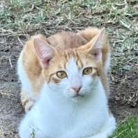 Photo of Sheldon