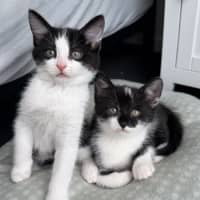 Photo of Tekapo 💙