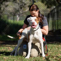Photo of Max
