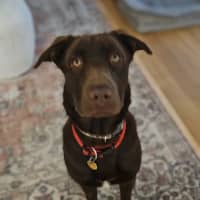 Photo of Bruce Banner