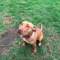 Photo of Sweetie