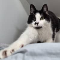 Photo of Prada