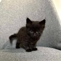 Photo of Spud & Squid