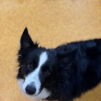 Photo of Star