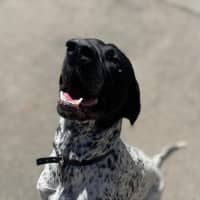 Photo of Bentley 