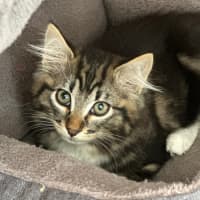 Photo of Edmond