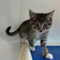 Photo of Sabine