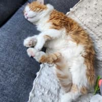 Photo of Jasper