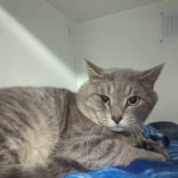 Photo of Storm 