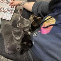 Photo of Dee   Located In Preston