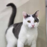 Photo of 🍬 Gretel 5723 🍬