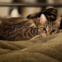 Photo of Spencer & Penny