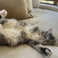 Photo of Wendy