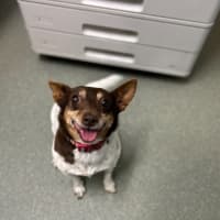 Photo of Buggerluggs