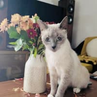 Photo of Indi