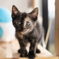 Photo of Minny
