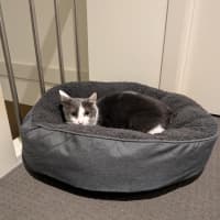 Photo of Max Illingworth