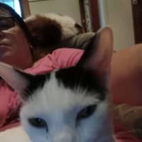 Photo of Lucky
