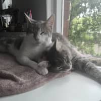 Photo of Rocket