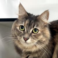 Photo of Arwen Rsua013325