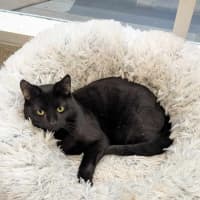 Photo of Milo   Malvern 