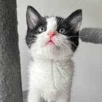 Photo of Tekapo 💙