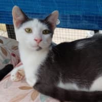 Photo of Lucky