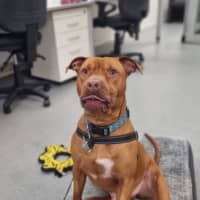Photo of Fred