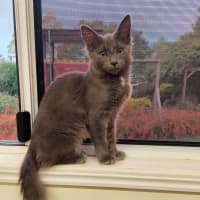 Photo of Dolly Purrton