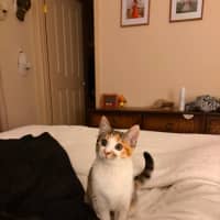 Photo of Ziggy