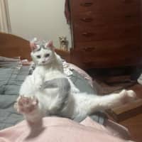 Photo of Nora   In Foster Care In Fawkner