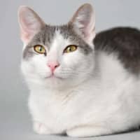 Photo of Billy
