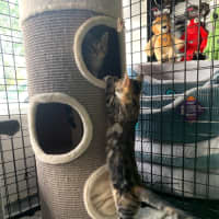 Photo of Wanda