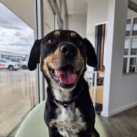 Photo of Kenai