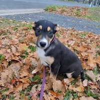 Photo of Bingo