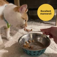 Photo of 👑Princess Gigi Von Tofu