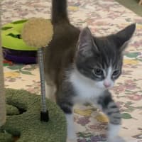 Photo of Ziggy