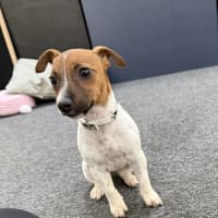 Photo of Molly Mae