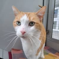 Photo of Sheldon