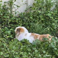 Photo of Aluna & Abby