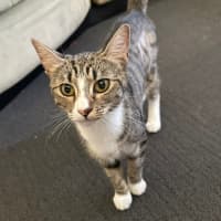 Photo of Baby Mini