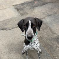 Photo of Lucy