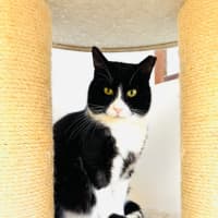 Photo of Gatsby 🌟