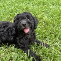 Photo of Faye