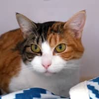 Photo of Leila Sta013541