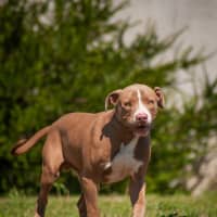 Photo of Max