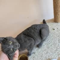 Photo of Greta