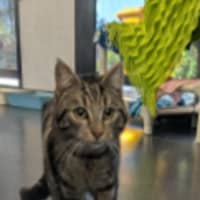 Photo of Mrs. Cunningham