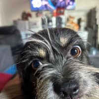 Photo of Jedda O'cleary